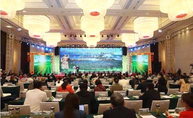 有关于2021中华茶祖节：院士专家为湘西黄金茶打call的资讯