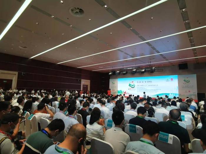 关于“推动福建茶产业发展，全面推进乡村振兴，福茶在行动”的最新信息