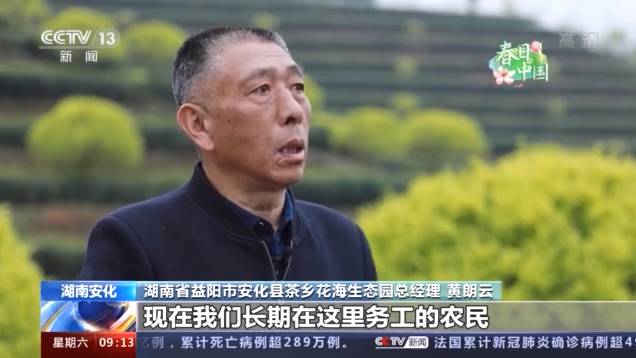 有关于湖南安化：黑茶之乡”搭乘特色小镇走上致富大道的消息(4)
