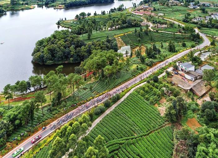 有关于围观2021年度雅安“最美农村公路”——中国至美茶园绿道的最新消息(8)