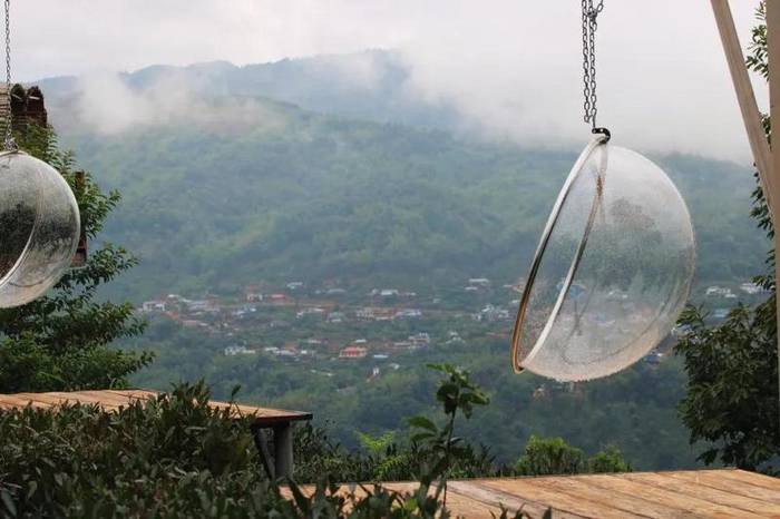 关于“绿水青山就是金山银山”发展理念 着力创建勐海县乡村振兴示范茶园的热门消息(14)