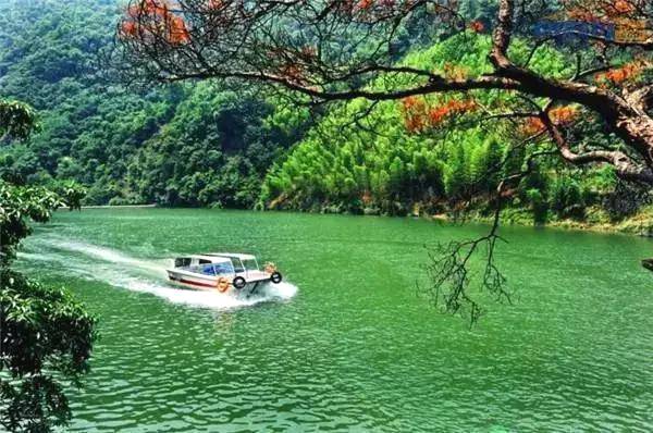 有关于“红”起来的茶乡! 贵州推出两条红色茶旅精品路线的资讯(6)