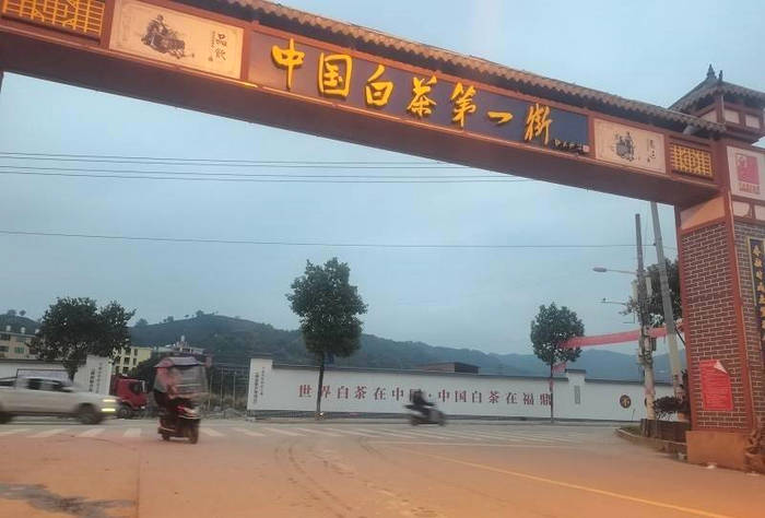 有关于一周速读丨福鼎茶企“备战”IPO、春茶价格上涨、品牌春茶营销怎么玩？的热门新闻