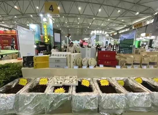 有关于第十届四川国际茶业博览会 多家犍为县茶企出彩茶博会 的资讯(7)