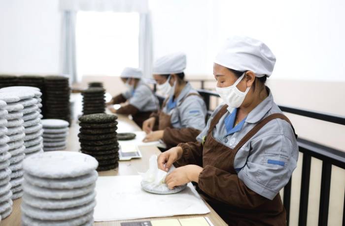 有关于乡村振兴看茶山|只要小小一杯，就能暖到心里去，这都是因为……的热门消息(7)