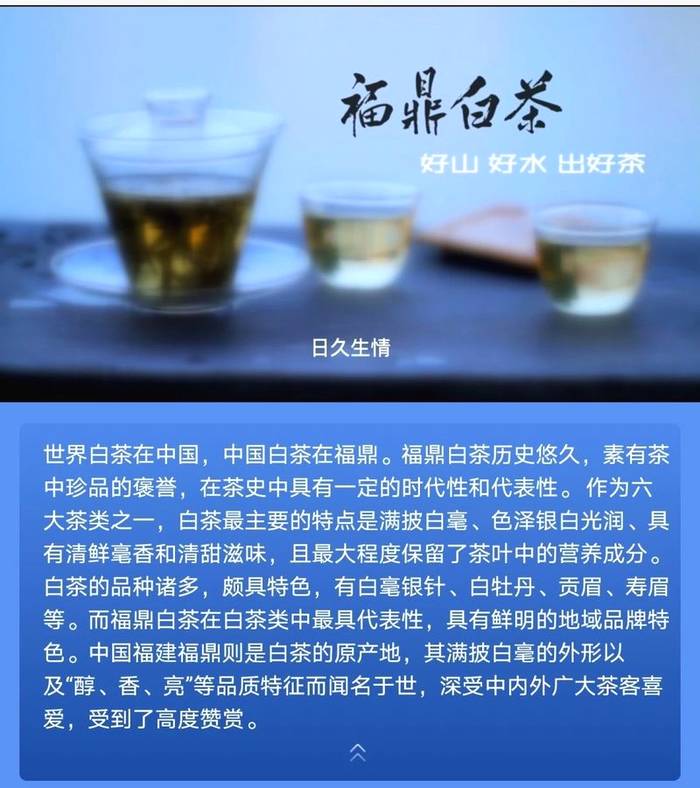关于福鼎白茶登上“12306”APP页首广告的信息(6)