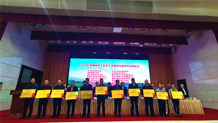 关于推动湘茶高质量发展 助力乡村振兴 湖南省茶叶行业工作会议召开的热门资讯(20)