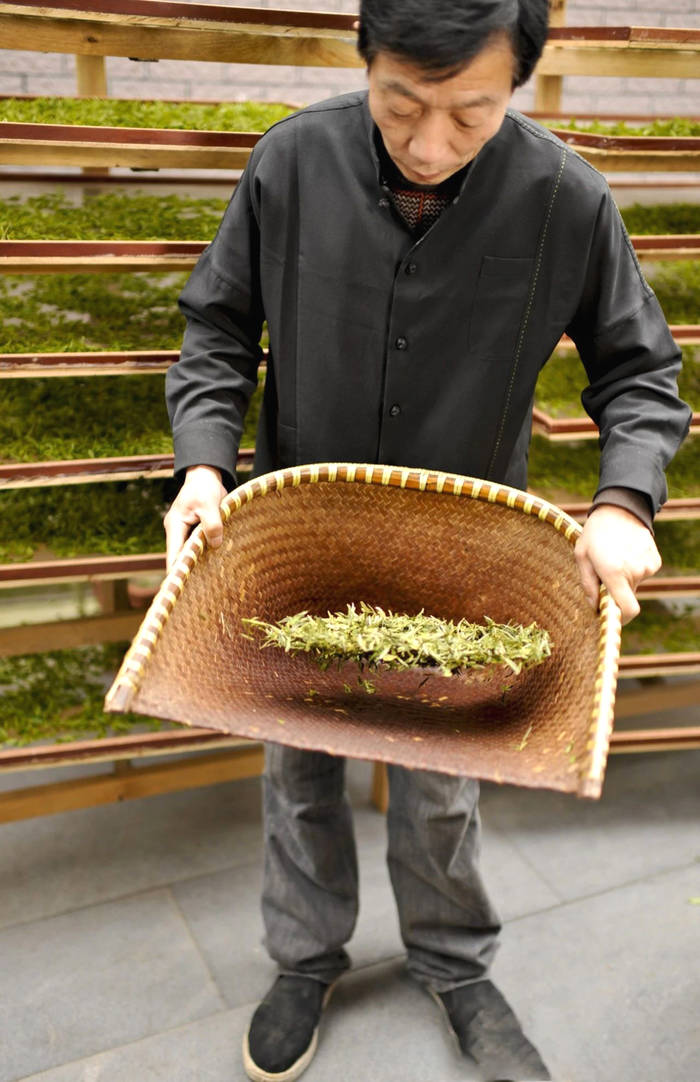 有关于杭州：解码“非遗”·西湖龙井茶采摘制作技艺的热门资讯(4)