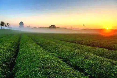 关于2025年，遵义市力争综合产值500亿元以上！的消息