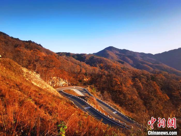 关于安徽金寨大湾村：茶旅融合发展拓宽小康路的消息(4)