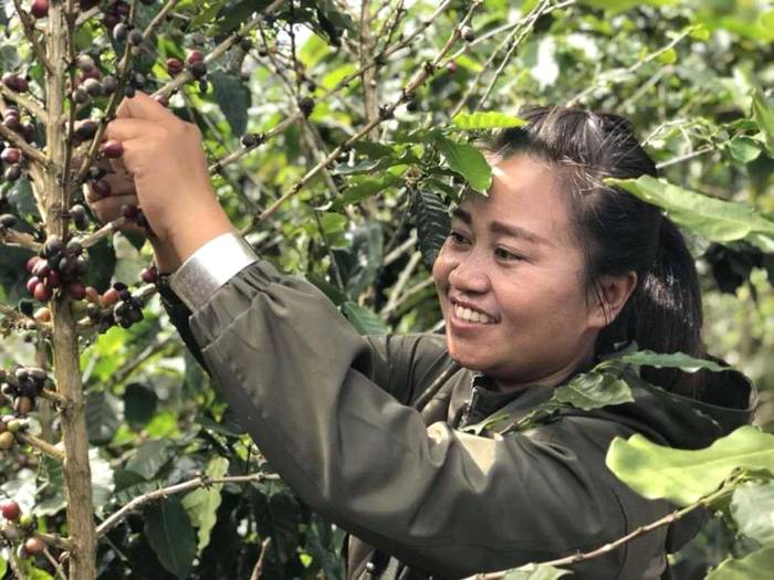 关于全球连线｜来自云南脱贫村民的特殊礼物，送到联合国安理会！的消息(3)