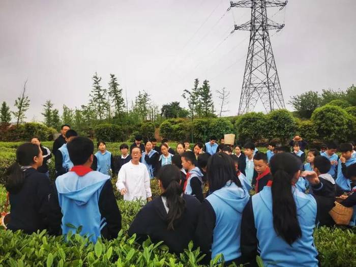 有关于亲近自然、拥抱茶园|“林城苗苗+茶叶研究所”茶研学进行时的最新资讯(2)