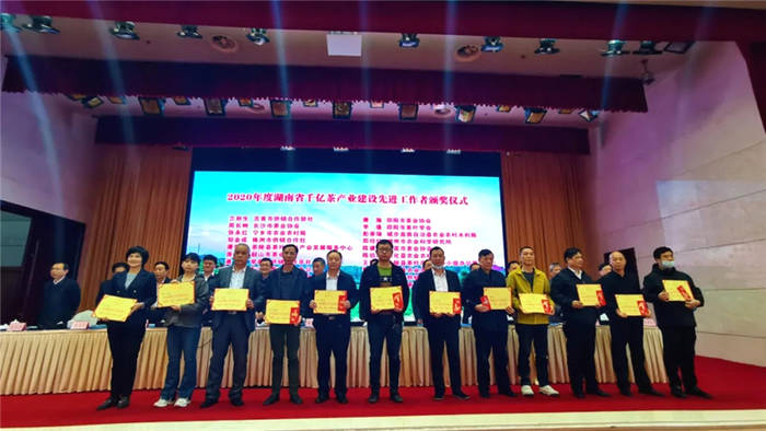 关于推动湘茶高质量发展 助力乡村振兴 湖南省茶叶行业工作会议召开的热门资讯(21)