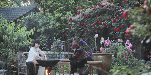 有关于李子柒：深深扎根在中华土地上，历久弥新的茶文化的资讯(6)