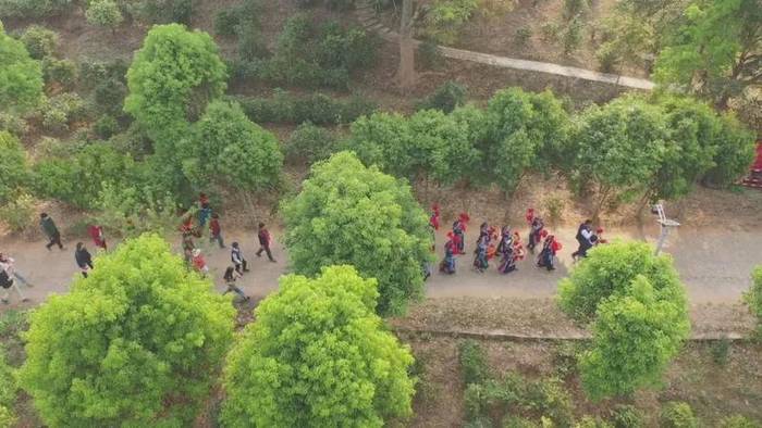 有关于墨江米地古树茶开采 拍卖所得28万元全部捐赠的最新信息(2)