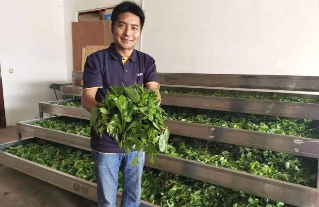 有关于老班章96号茶农李向荣：古树茶带来好日子的最新资讯(2)