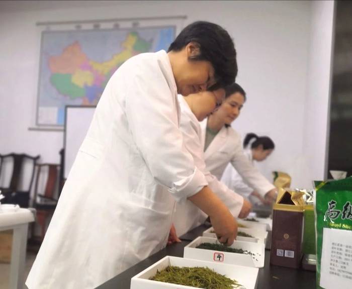 关于高考填志愿：茶学学科是什么？茶学院校怎么选？的热门消息(3)