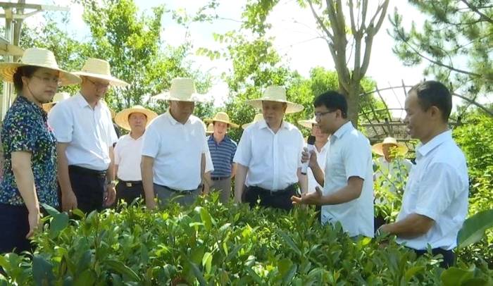 关于强化法治保障 促进产业兴旺,赵乐秦率队来梧调研法治乡村建设等工作的最新资讯(3)