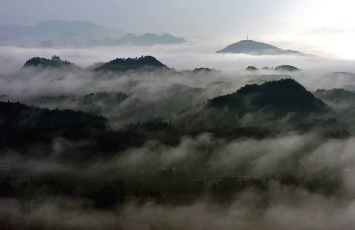 关于旅游产业化·发展故事，茶区变景区 茶山变金山 贵州茶旅融合促产业发展的最新资讯(3)