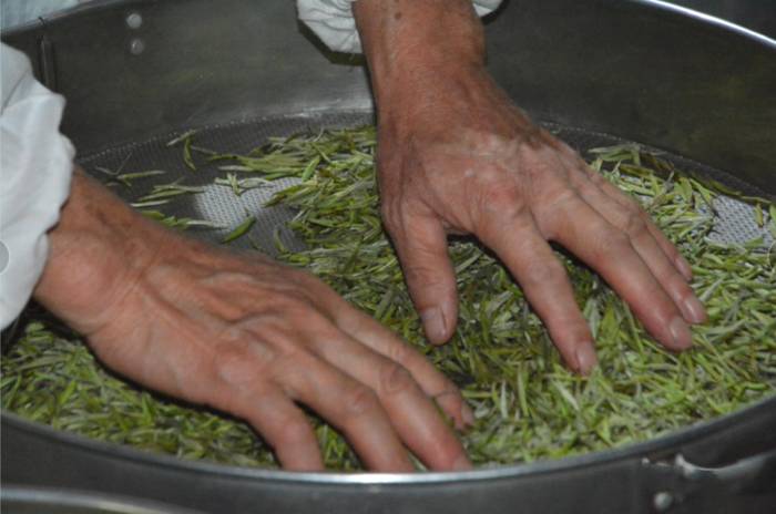 有关于湖南又添19项国家级非遗项目 黄茶制作技艺上榜的信息(4)