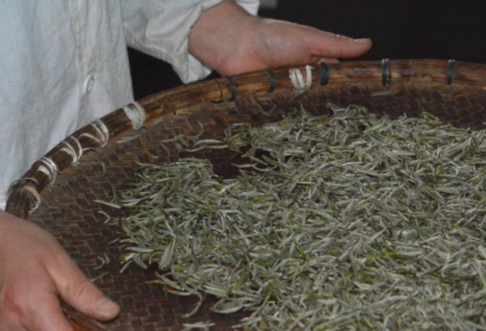 有关于湖南又添19项国家级非遗项目 黄茶制作技艺上榜的信息(3)