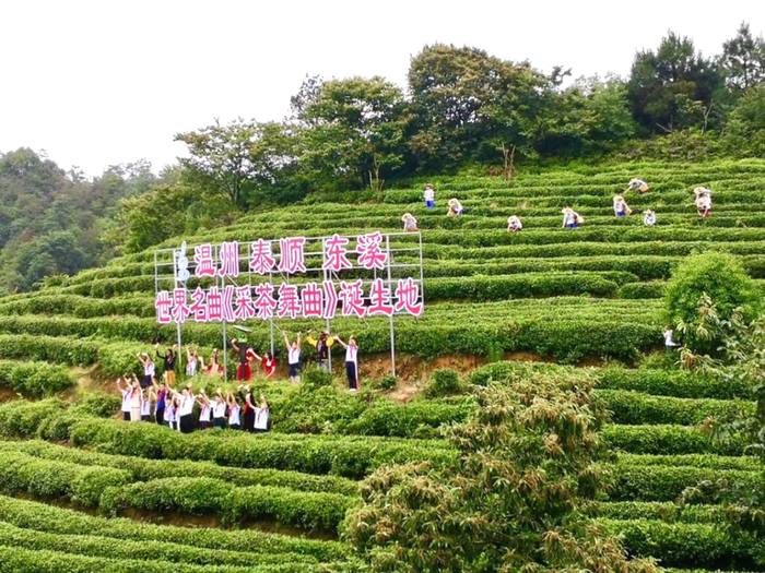 有关于温大“音乐党课”在泰顺东溪开讲，茶音悠扬振兴乡村的新闻