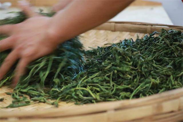 关于200万吨库存茶根本喝不完!谁能引领中国茶叶第三次产业革命?的消息(9)