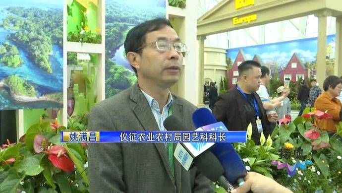 有关于仪征茶叶产销两旺 借力世园会发展茶产业的最新信息(4)