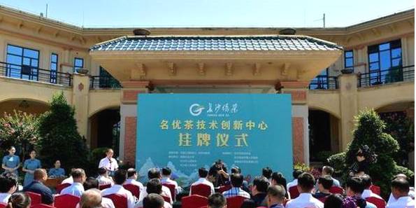 关于金井茶业春茶提前20天采 茶园预增产10%以上的热门新闻(2)