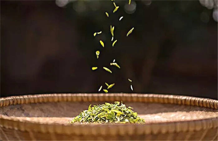 关于西湖龙井昨日开采 精品“狮峰龙井茶”每斤1万元至6万元的最新消息