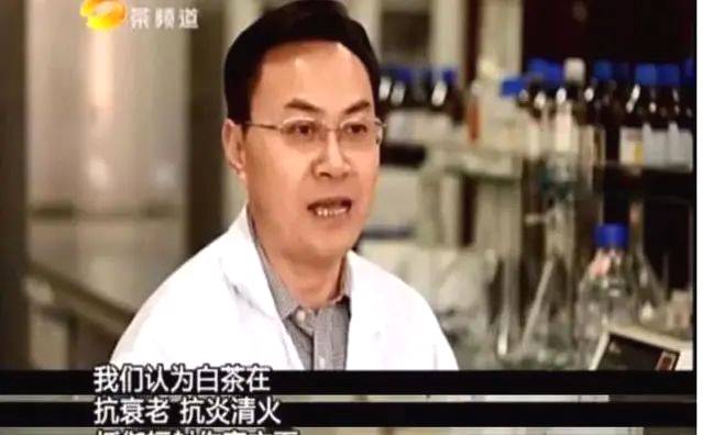 关于福鼎白茶市场产销两旺:这些数据带你揭秘"内幕"的热门资讯(6)