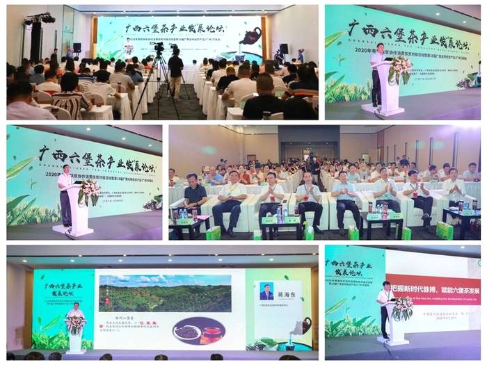 关于2020下半年六堡茶产业持续发力，这些热点你都关注了吗？的热门资讯