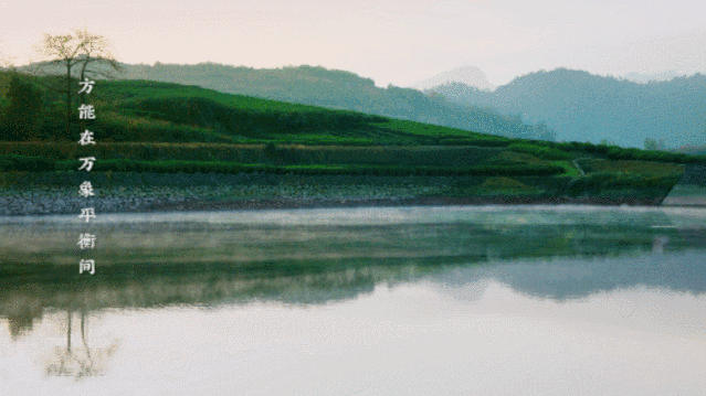 关于国内茶品牌 居深山，心自在——大佛龙井品牌创意解读的最新资讯(14)