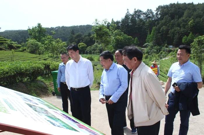 关于海峡两岸茶业交流协会会长陈绍军等一行深入武夷山调研茶产业的新闻(13)