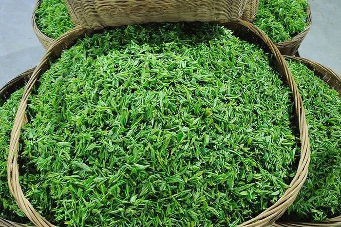 关于56000次采摘方得1斤!火出国门的三峡毛尖,天然清香!的最新资讯(14)