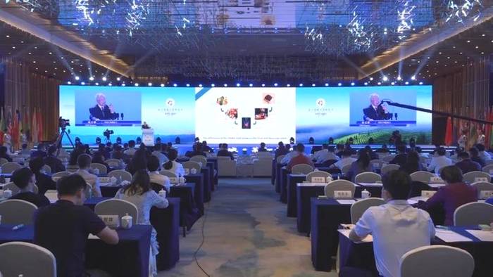 有关于双院士同台报告，全球茶业顶尖智慧今天都聚集在宜宾了！的热门新闻(3)