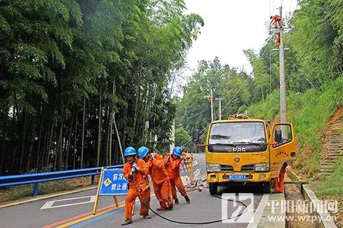有关于国网平阳县：护航“全电制茶” 为守护绿水青山贡献力量的信息(1)