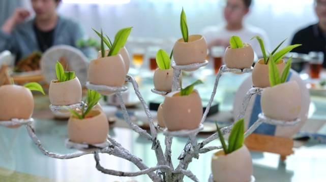 有关于当古茶之王遇上皮卡之王，长城皮卡助力勐海古树茶开采的信息(10)