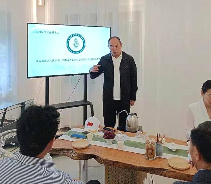 关于省人大常委会副主任李培考察西双版纳古树茶保护工作侧记的资讯(6)