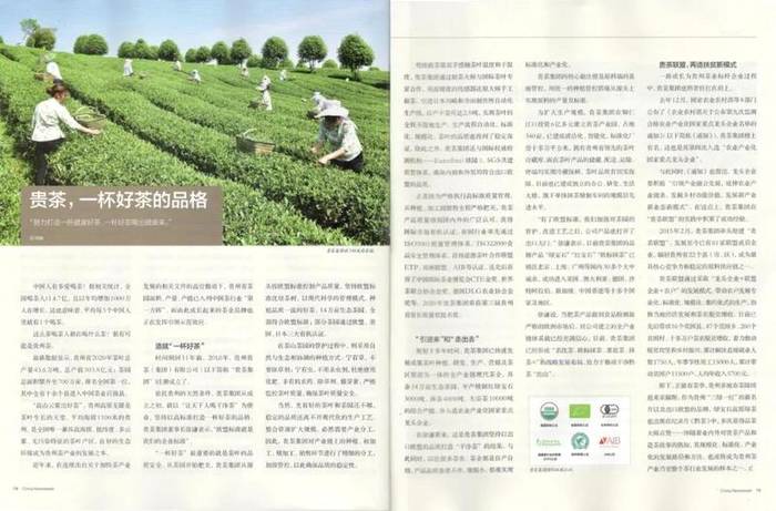 有关于3月贵州茶情丨春茶开采渐入佳境，茶企茶人频频出镜的最新信息(3)