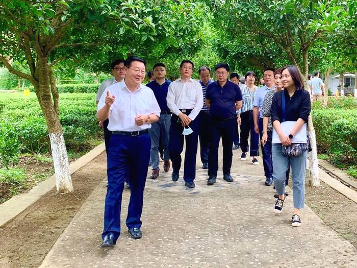 关于国家知识产权局调研汉中仙毫国家地理标志产品保护工作的热门新闻