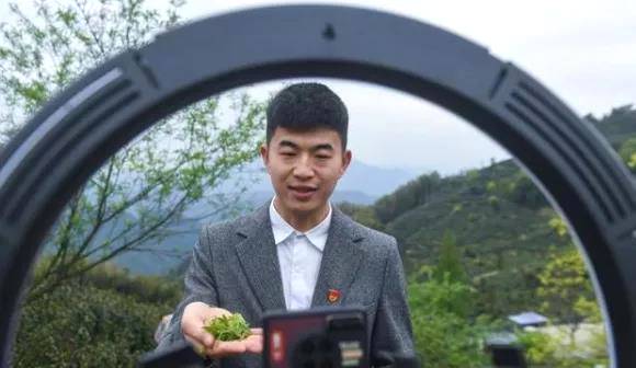 关于安顶山的高山茶园：高山云雾茶采收，多举措助力茶农增收的资讯(1)