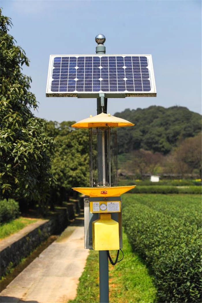 有关于春茶到！浙江几十个产茶区县春茶陆续开采的热门资讯(13)