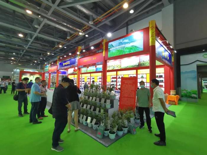 关于创新花果香型坦洋工夫亮相“国展”,百年工夫红茶再出发!的最新信息(10)