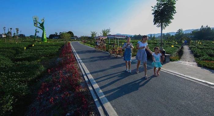 有关于围观2021年度雅安“最美农村公路”——中国至美茶园绿道的最新消息(6)