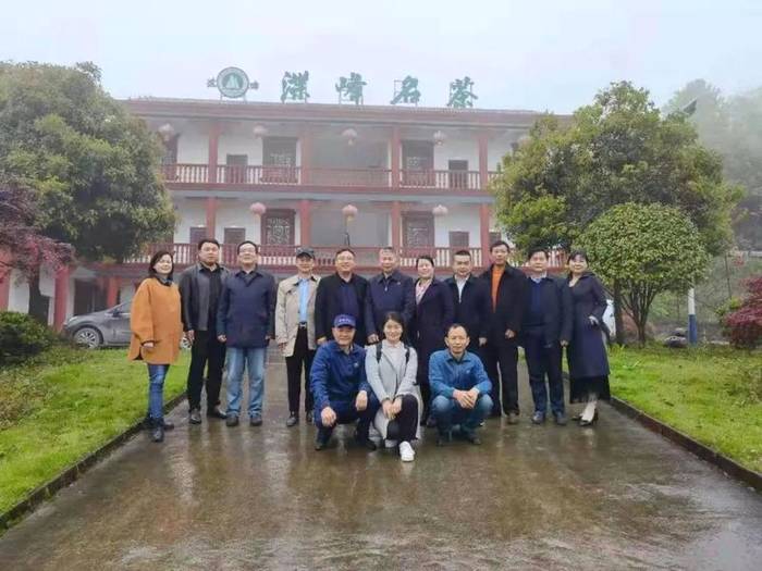 关于湖南省茶业协会战略专家组一行调研石门县茶叶产业的信息