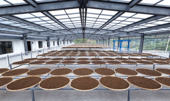 有关于乡村振兴看茶山|只要小小一杯，就能暖到心里去，这都是因为……的热门消息(5)