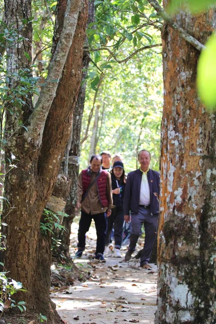 关于“绿水青山就是金山银山”发展理念 着力创建勐海县乡村振兴示范茶园的热门消息(17)