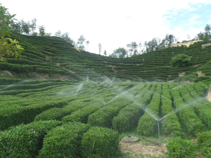 有关于通过三个案例看陕西茶产业在脱贫攻坚中发挥的重要作用的最新信息(1)