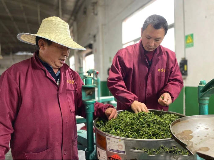 有关于泡“好茶”到“泡好”茶——技术创新助“利川红”高质量发展的资讯(4)